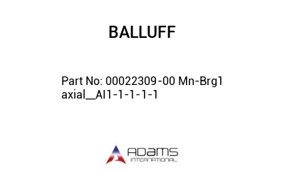 00022309-00 Mn-Brg1 axial__AI1-1-1-1-1									