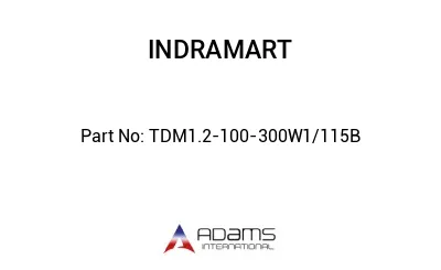 TDM1.2-100-300W1/115B