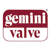 GEMINI VALVE